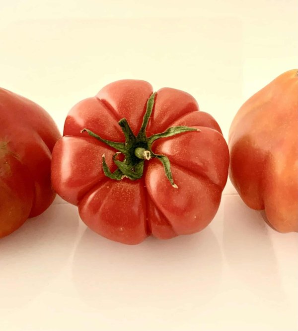 Quelles sont les meilleures variétés de tomates pour une culture en pot en intérieur?